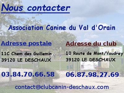 Nous contacter